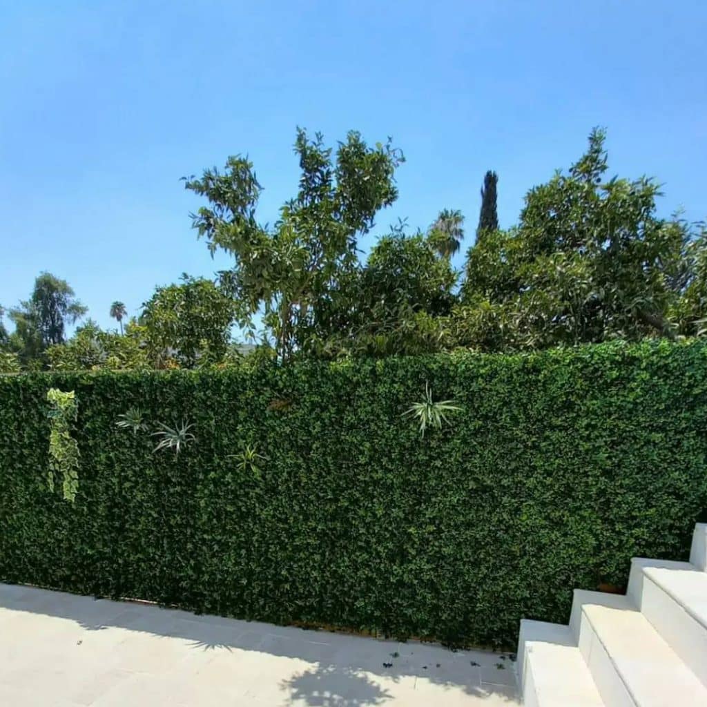 קיר ירוק מלאכותי עם צמחיה נשפכת