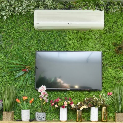 קיר ירוק מלאכותי