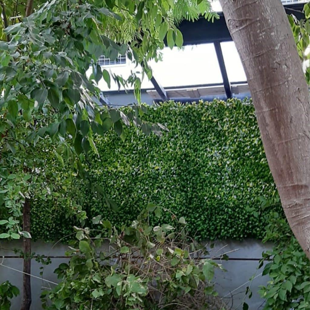 קיר ירוק מלאכותי לעסק