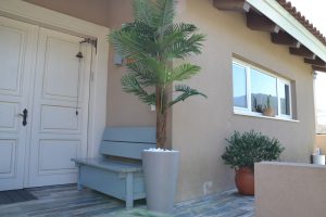 עץ מלאכותי לכניסה לבית