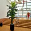 צמחים מלאכותיים למלון