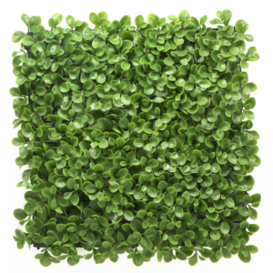 קיר ירוק מלאכותי