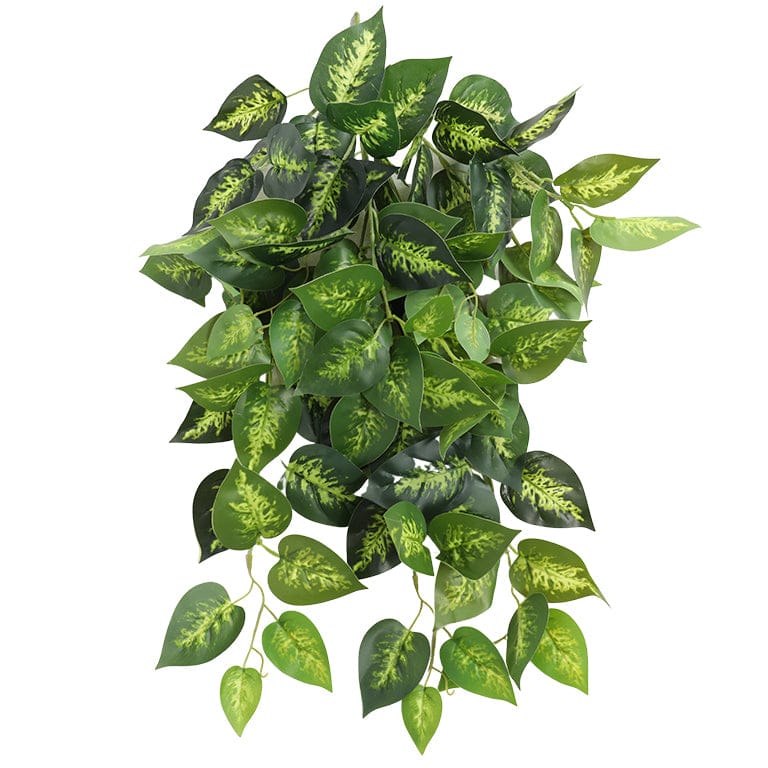 צמחיה מלאכותית נשפכת