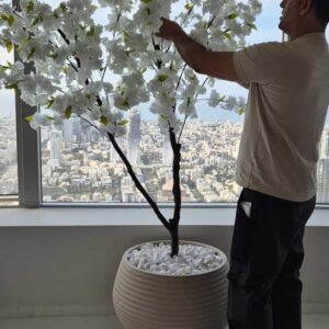 473624017_3898505483723202_168422006654578732_n