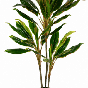 עץ דרצנה 1.20 מטר מלאכותי