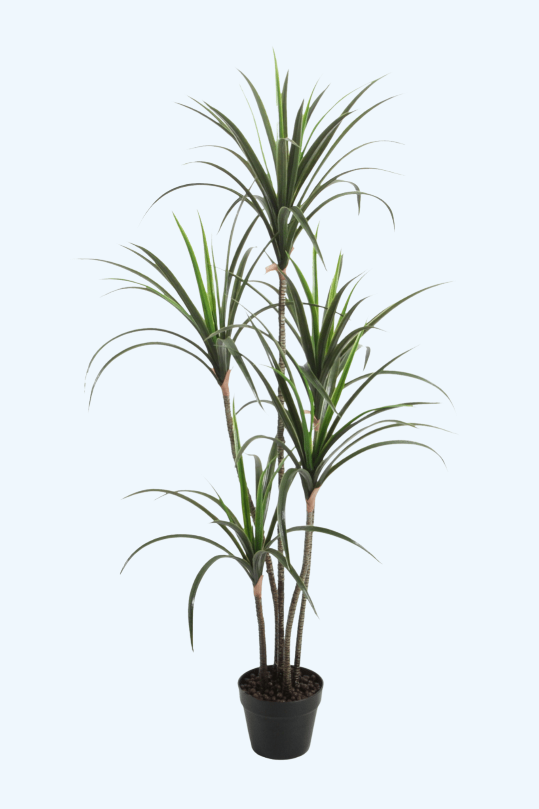 עיצוב ללא שם (10)