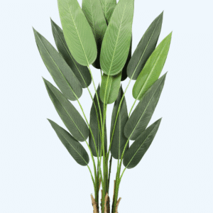 עץ ציפור גן עדן 1.50 מטר