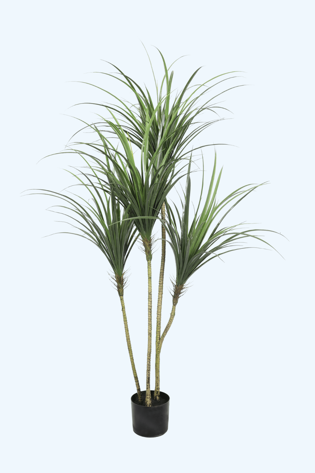 עיצוב ללא שם (12)