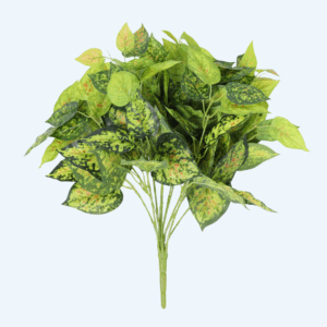 פוטוס מוזהב 45 ס"מ