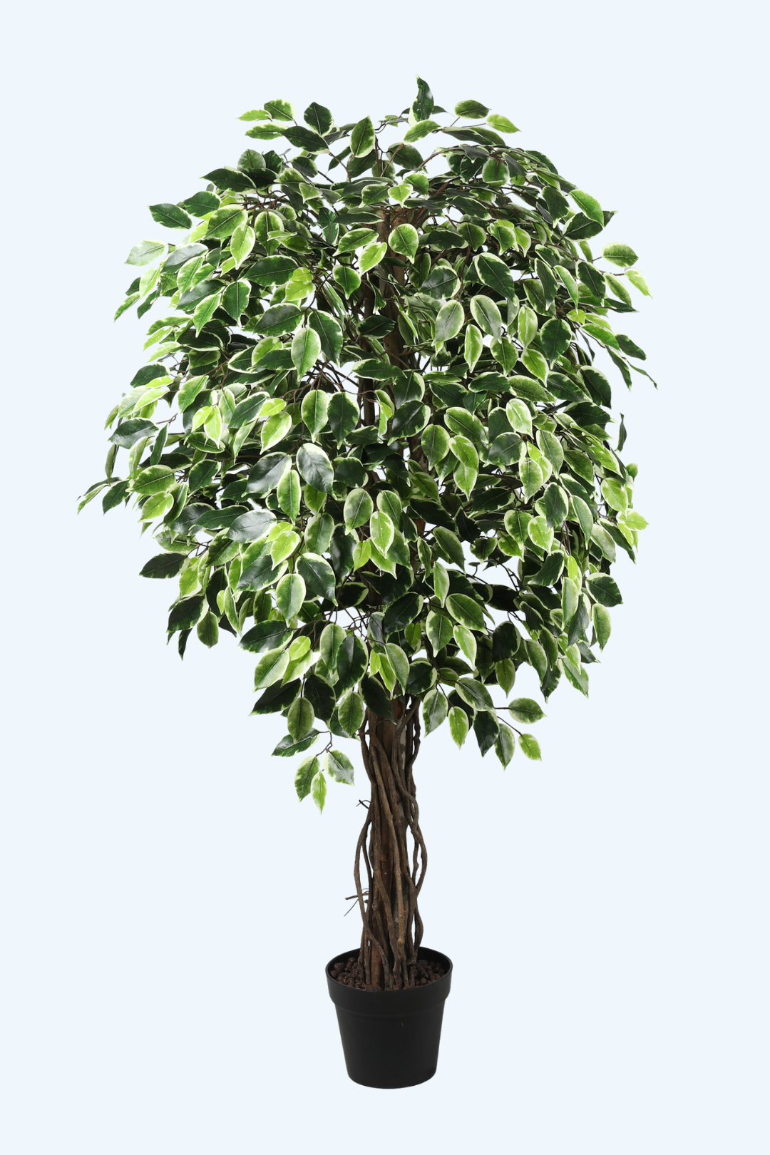 עיצוב ללא שם (22)