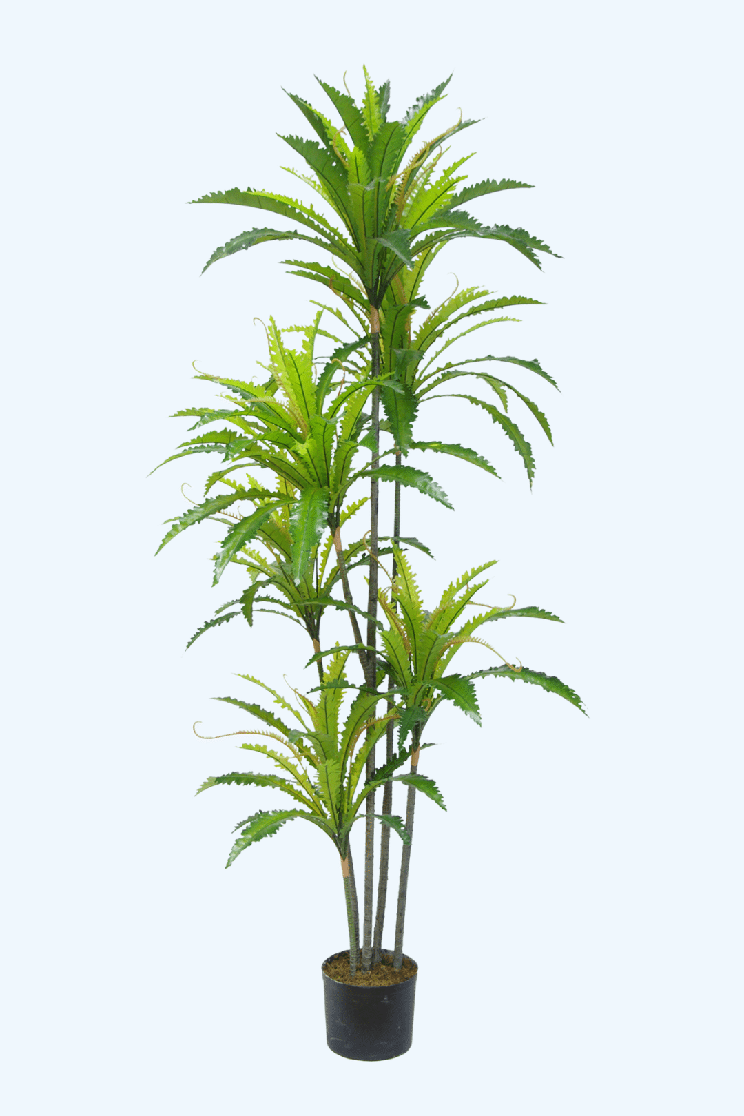 עיצוב ללא שם (3)