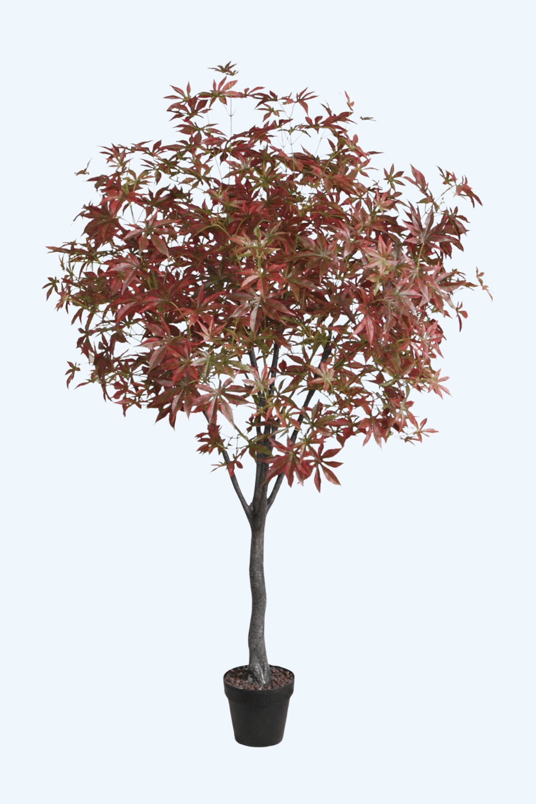 עיצוב ללא שם (4)