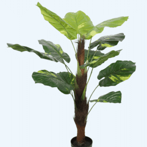 עץ פוטוס 100 ס"מ