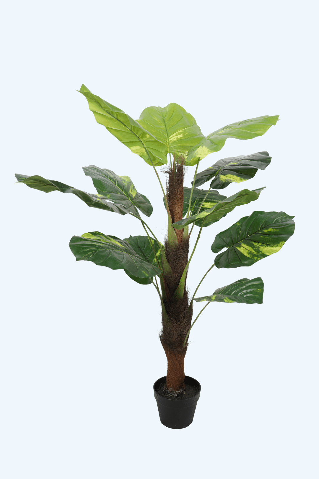 עיצוב ללא שם (5)