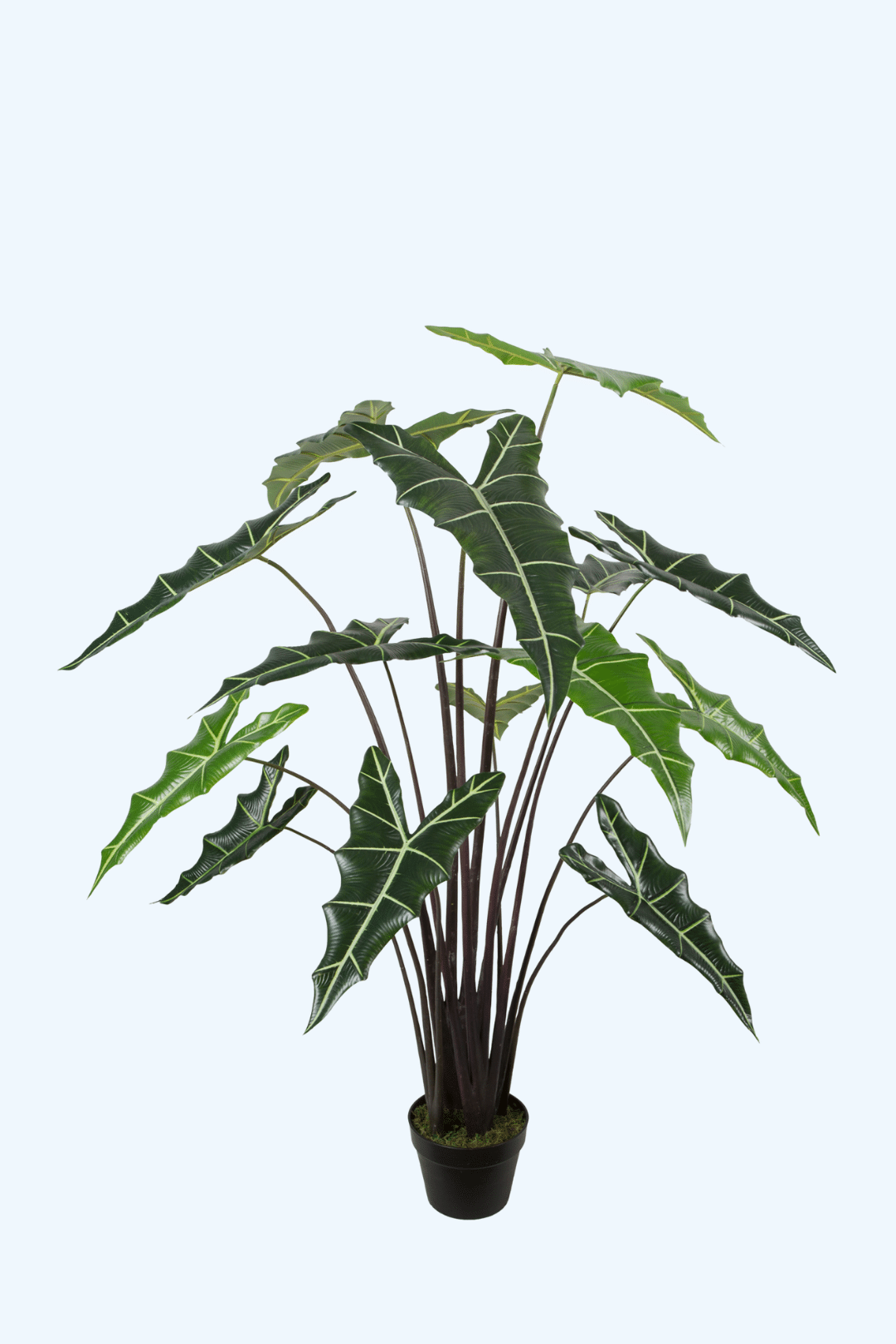 עיצוב ללא שם (7)