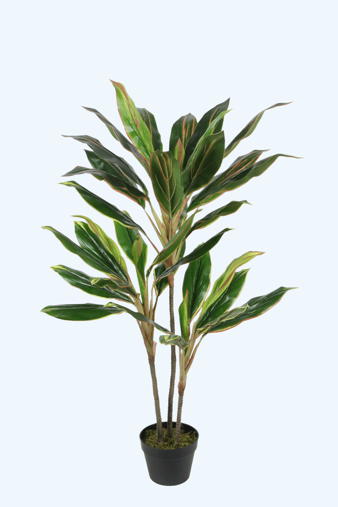 עיצוב ללא שם (8)