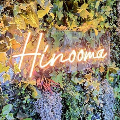 קיר ירוק מלאכותי בחיפה