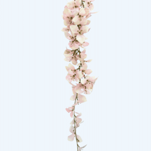 נשפך גרדניה פלסטי 75 ס"מ עמיד UV