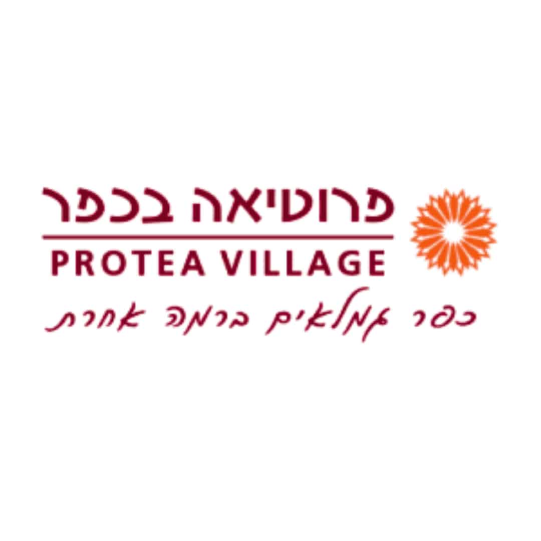 סטים מוכנים (3)