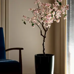 סאקורה ורדרד 1.20 מטר