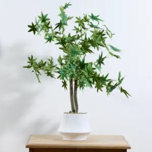 עציץ שולחני גראס 60 ס"מ