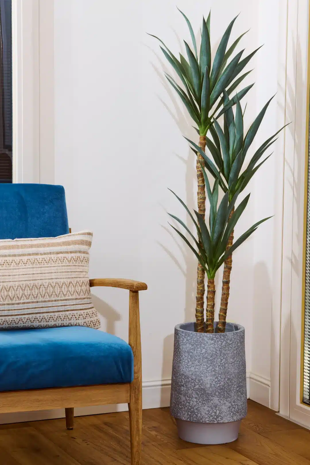 146-459H42_compressed