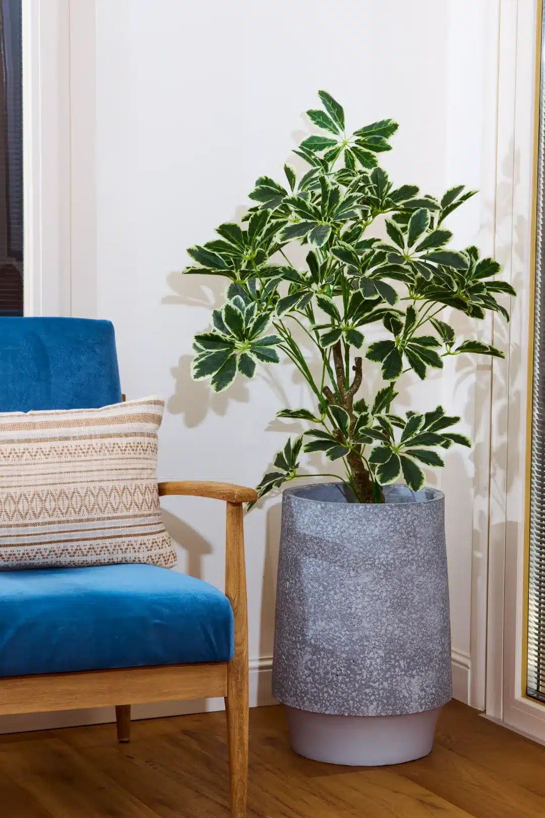 154A-459H57_compressed