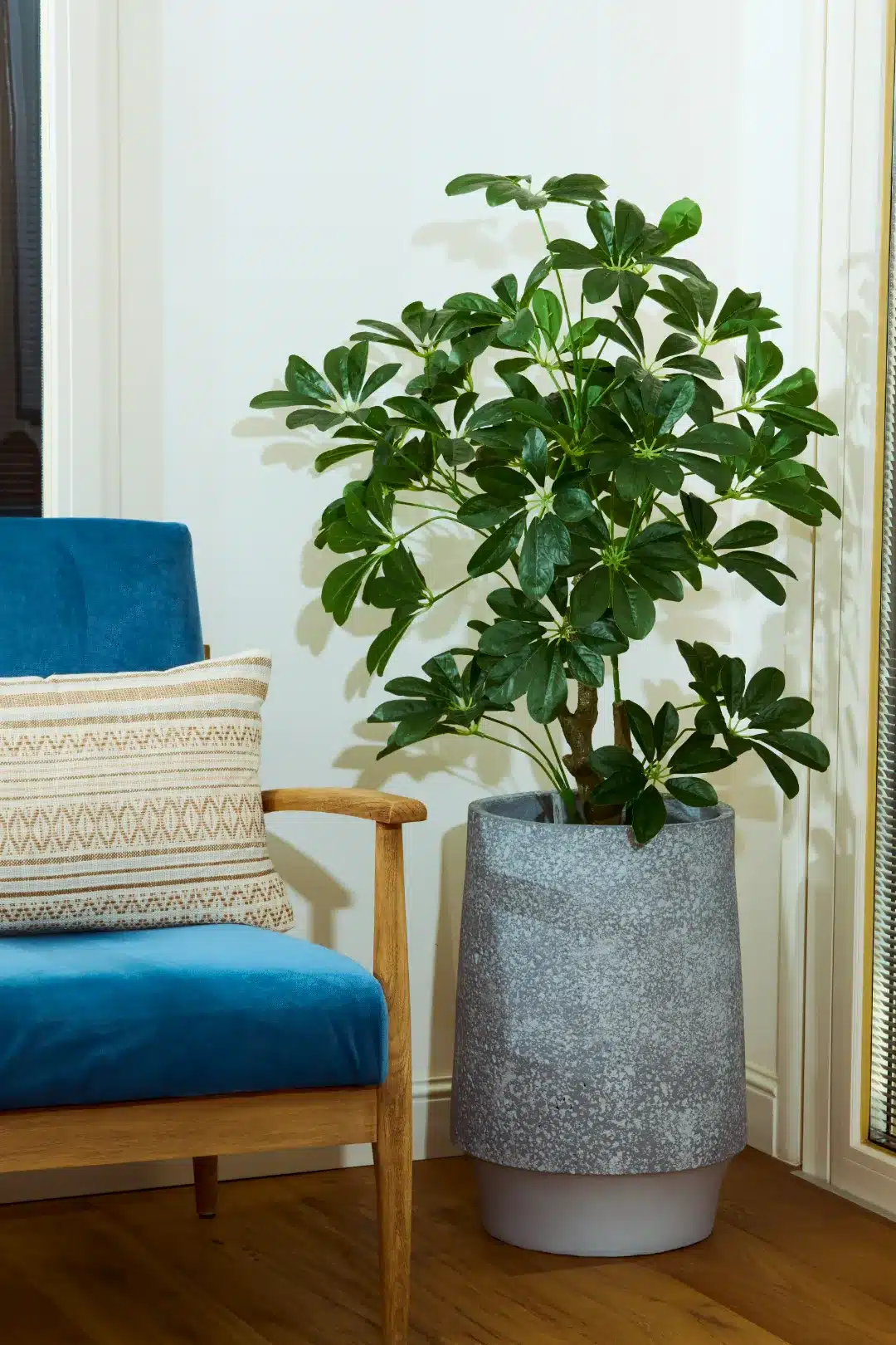 154B459H57_compressed