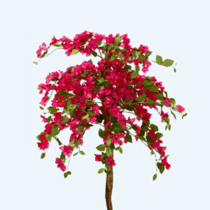 בוגונביליה 1.30 מטר  מלאכותי