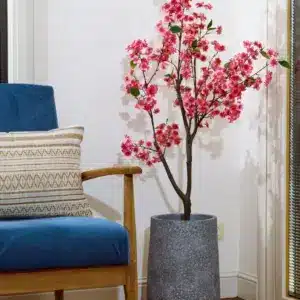 סאקורה ורוד 1.20 מטר