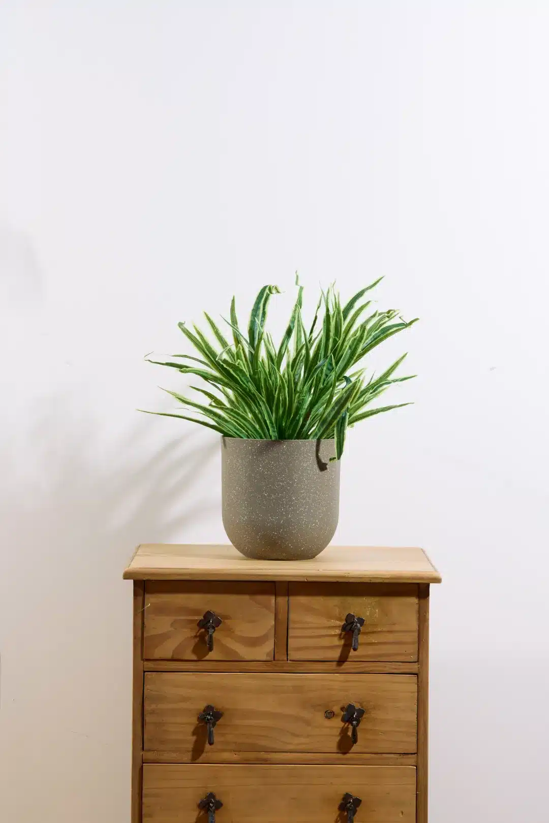 207-440H18_compressed