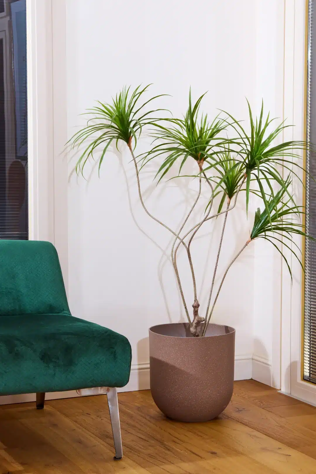 255-440H34_compressed