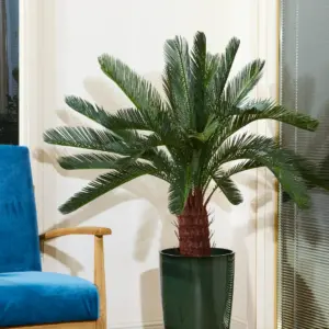 צ'יקס 1.10 מטר