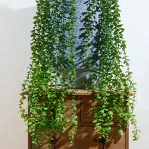 בוקט נשפך כפתורים 90 ס"מ