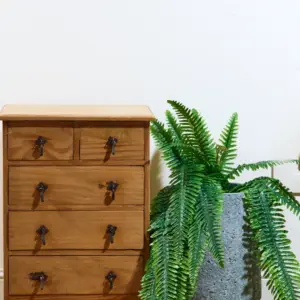 שרך בוסטון 90 ס"מ