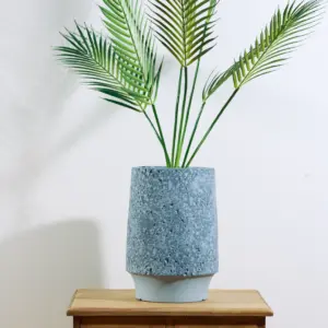 דקל אריקה 90 ס"מ