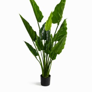 פילדנדרום 1.50 מטר מלאכותי