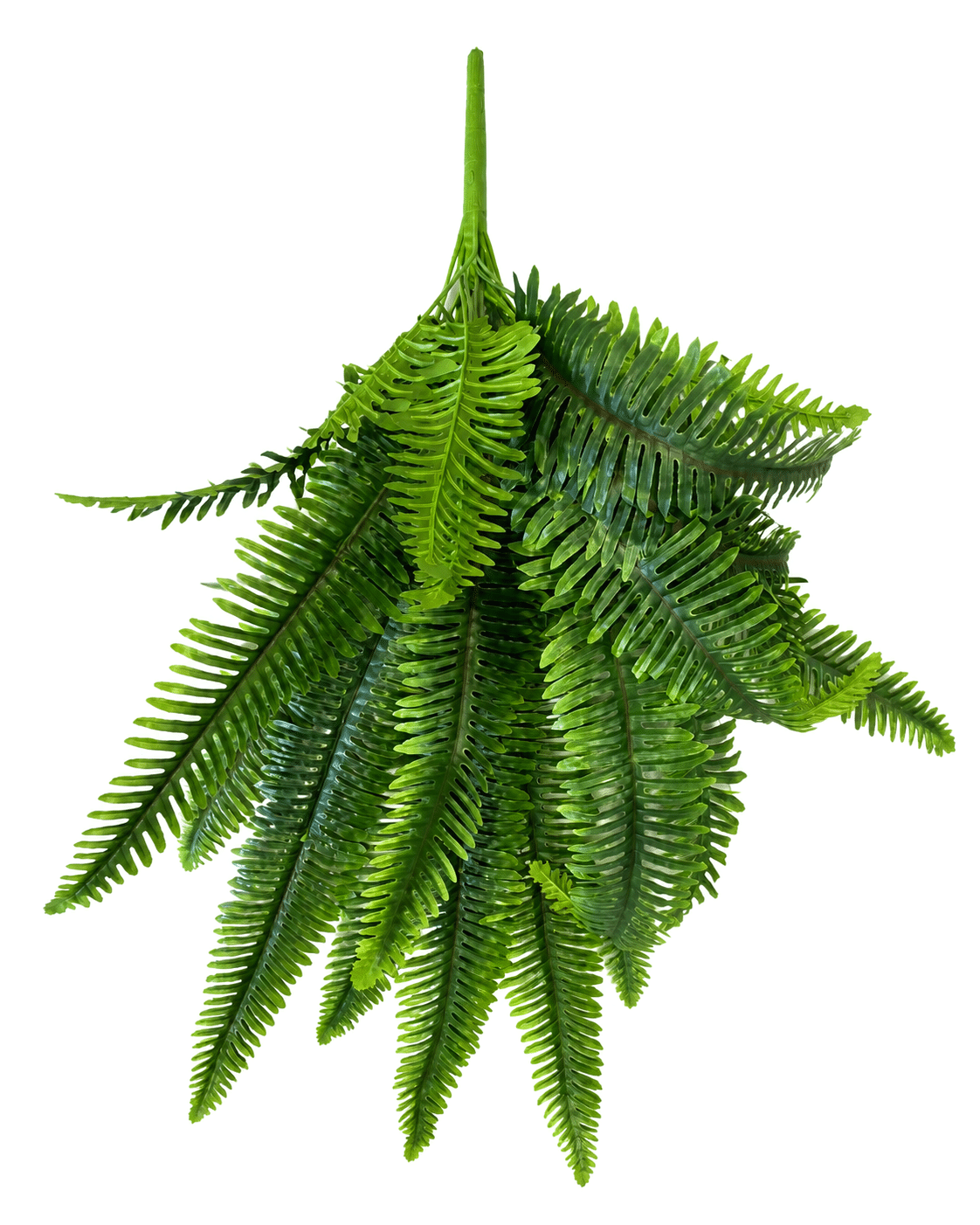 2026/05/1000166215.png