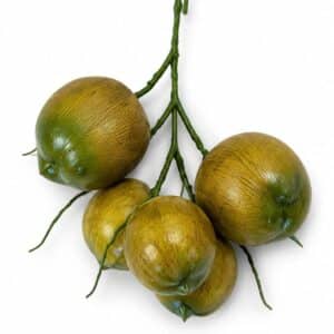 פרי קוקס מלאכותי