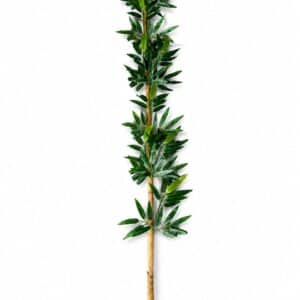 במבוק 1.80 מטר מלאכותי