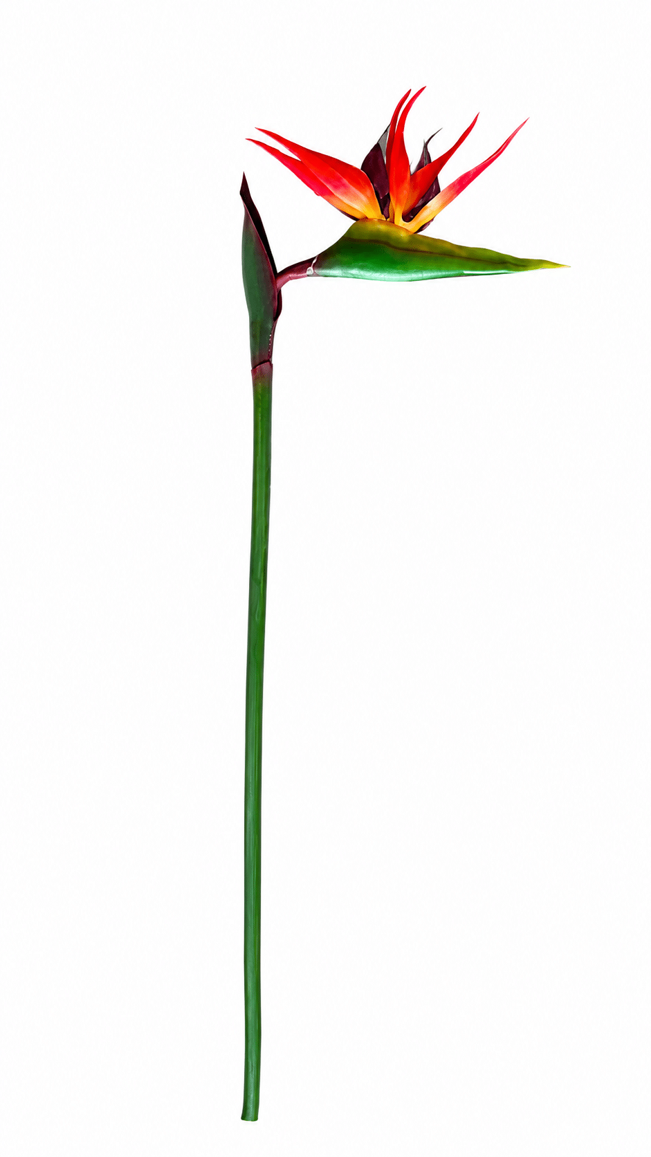 2026/08/1000328646.png